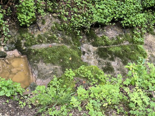 Spuren aus längst vergangener Zeit
